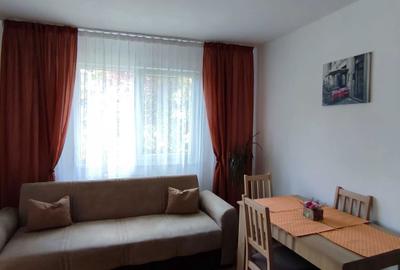 Apartament cu 2 camere semidecomandat în Mănăștur - 13