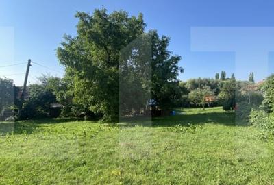 Teren intravilan de vanzare, 1000 mp, Strada Borviz
