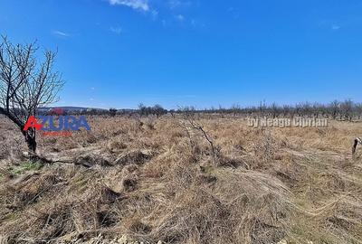 AZURA IMobiliare - Teren Iefin Bascov 3km de Giratoriu - 5