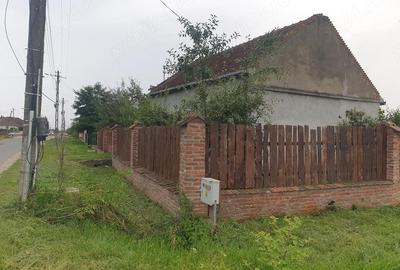 Casă cu 2 camere cu Teren 25000 Mp în Nisipeni