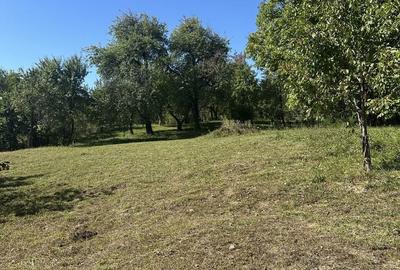 Casă cu 4 camere în Talea - 5