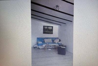 Teren + constructie , deschidere 14 m -pretabil afacere - 1