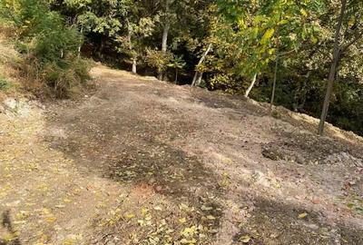 Teren în Viforâta - 4