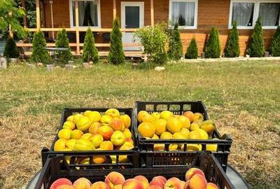 Teren de 50 mp, în Central - 3