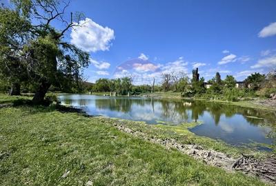 Proprietate specială, de 2,497 mp, în Central - 1