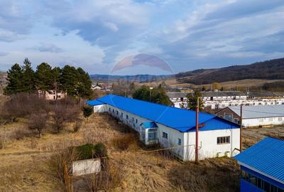 Spatiu industrial, comercial, depozitare,860mp,com Traian, jud Bacau, - 2