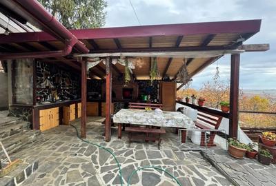 Casă cu 4 camere cu Teren 1527 Mp în Tăuții de Sus - 16