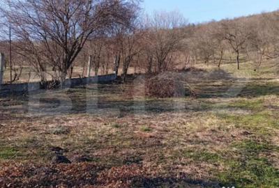 Casă cu 4 camere cu Teren 3000 Mp în Central - 3