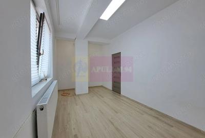 Vila P+3, 12 camere, 300 mp birouri/clinica/locuin?a, Timpuri Noi - 2