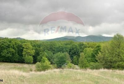 Vanzare Padure 2200 hectare in Romania - 8