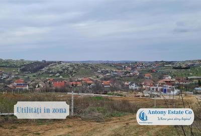 Teren de 3774 mp, în Oncea - 3