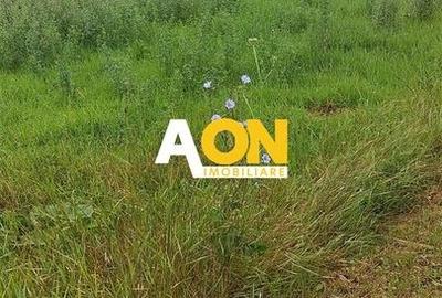 Teren pentru P+2 Alba-Micesti 3636 mp - 3