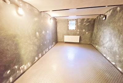 Apartament cu 3 camere in locatie centrala ( rezidenta/ spatiu birouri ) - 9
