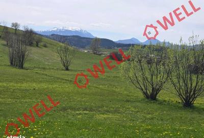 Spațiu comercial, în Sărămaș - 3