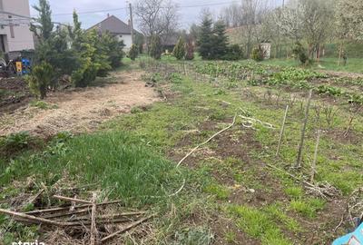 Teren de 600 mp, în Central - 4