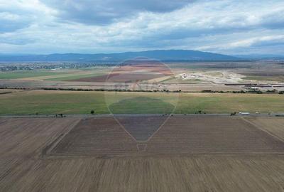 Teren de 27500 mp, în Tișița - 1