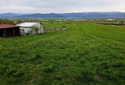 Spațiu comercial, în Cristian - 1