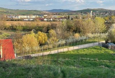 Spațiu comercial, în Cuștelnic - 8