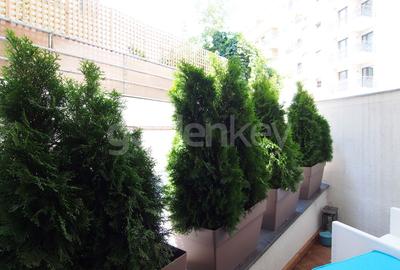 Studio modern langa parc, complet mobilat - 3