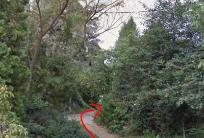 Teren zona Tabacovici - 3