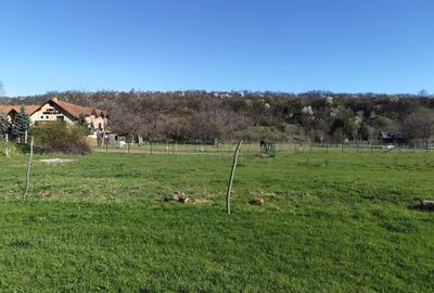 Spațiu comercial, în Sibiel - 4