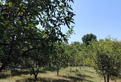 Casă cu 2 camere cu Teren 24 Mp în Răbăgani - 3