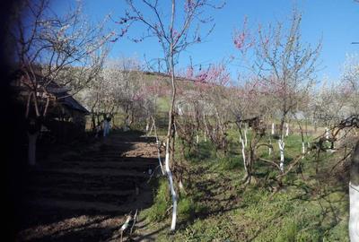 Casă cu 3 camere în Vintere - 6