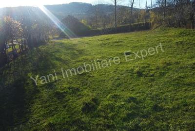 Teren de vanzare in comuna Arefu, jude? Arge?, in apropiere de Transfagara?an. - 14