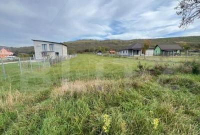 Teren de Vanzare, foarte aproape de Crama Jelna - 4