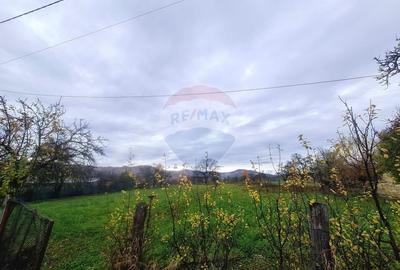 Teren Construcții intravilan de 7370 mp, în Mera