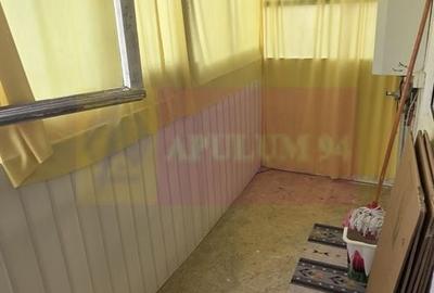 Apartament cu 2 camere semidecomandat în Turnătorie - 13