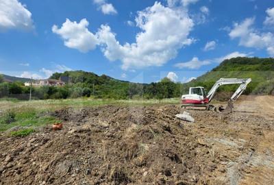 Teren de 3500 mp, în Viișoara - 1