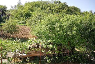 Casă cu 14 camere cu Teren 2500 Mp în Viișoara - 1