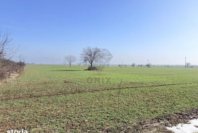 Teren de 3000 mp, în Central - 2