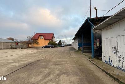 Teren de 10316 mp, în Tunari - 8
