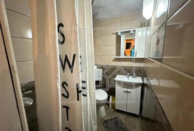 Casa de vacanta in Cartisoara, Transfagarasan - teren 971 mp, 8 camere - 2