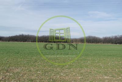 Teren agricol extravilan de 21496 mp, în Săcădat - 4