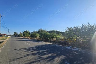 Teren de 24472 mp, în Runcu - 1