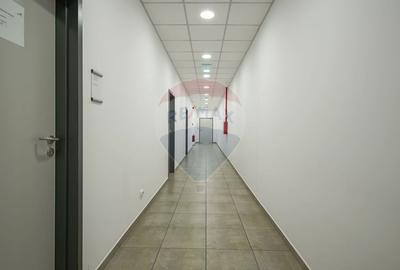 Hală industrială 5.000–12.000 mp de închiriat, Ghimbav - 13