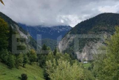 Teren 13.570 mp, Moieciu Pestera - 16