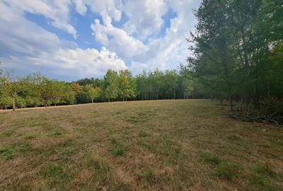 Teren de 15826 mp, în Central - 4