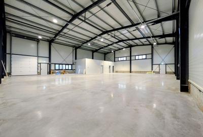 Hala depozitare - 437 mp - Ghiroda - Comision 0% - 2