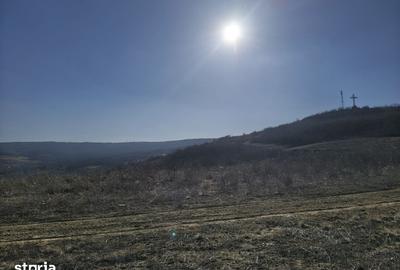 Teren de 510 mp, în Tomești - 1