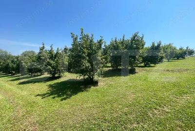 Spațiu comercial, de 56 mp, în Central - 18