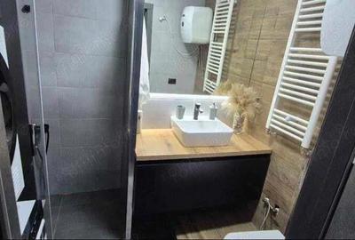 Garsoniera - zona 1 Decembrie - 3