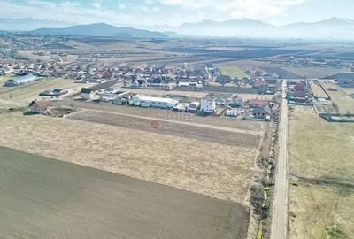 Teren Extravilan, P.U.Z. inceput - 15