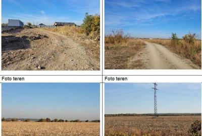 Teren intravilan 1 Decembrie, judetul Ilfov, ID: R2319723 - 2