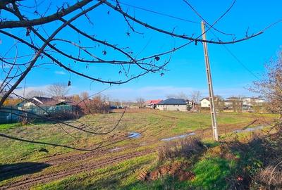 Teren de vanzare Snagov - 10