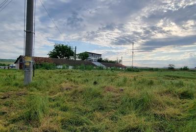 Teren Construcții intravilan de 10000 mp, în Nord-Est - 7