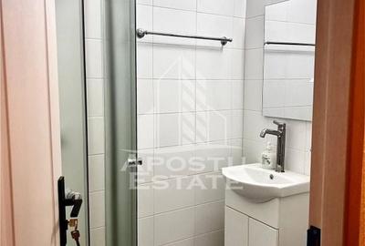 Apartament cu o camera,zona Dambovita - 4